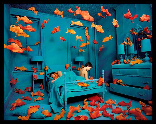 Sandy Skoglund - L'inconsueto familiare